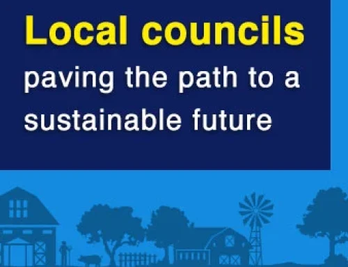 Green councils: How local authorities are leading the way in climate action